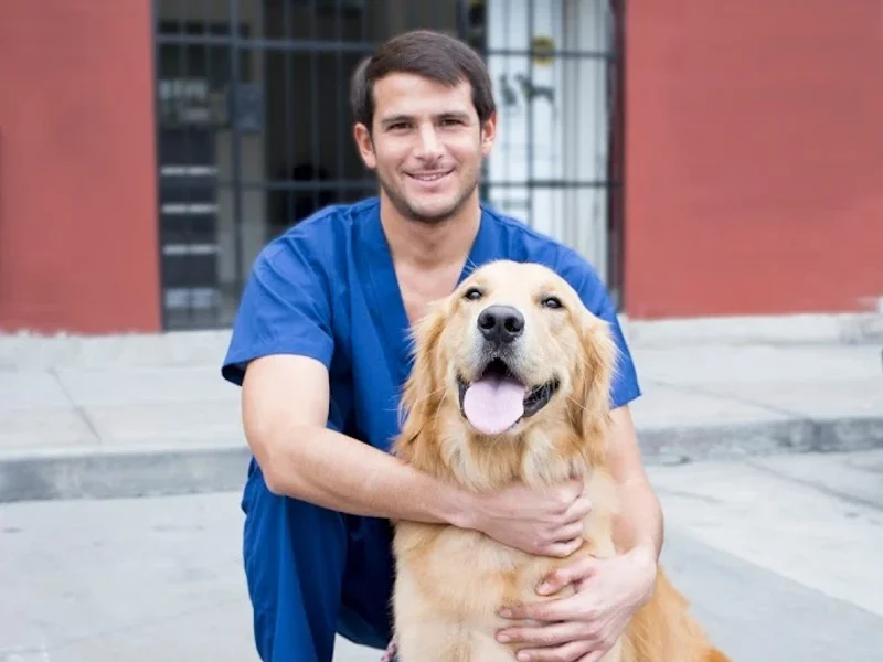 Alfredo Ortega - Clínica de Dermatología Veterinaria