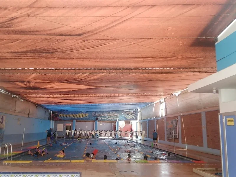 CLUB DE NATACION KAYSAMI BELTRAN