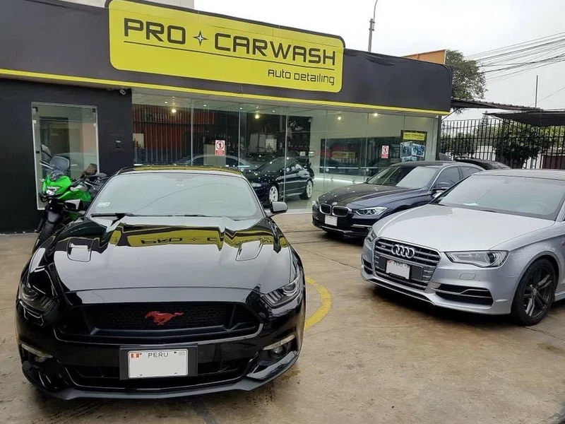 PRO CARWASH auto detailing