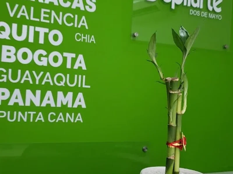 Depilarte Dos de Mayo