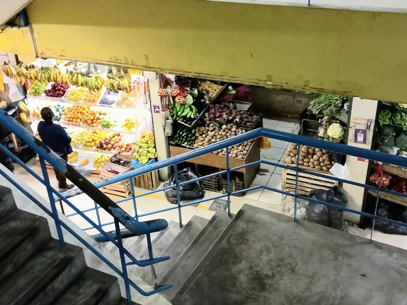 CENTRO COMERCIAL LOS PINOS