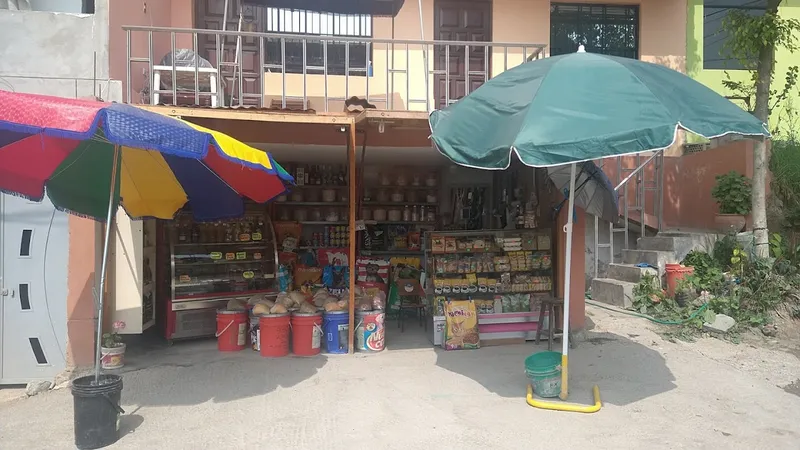 Tienda Los LLANOS