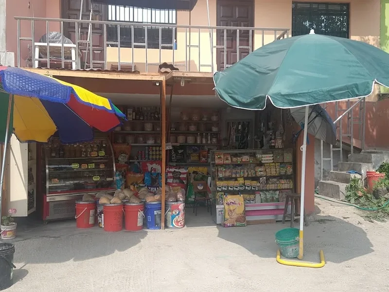 Tienda Los LLANOS