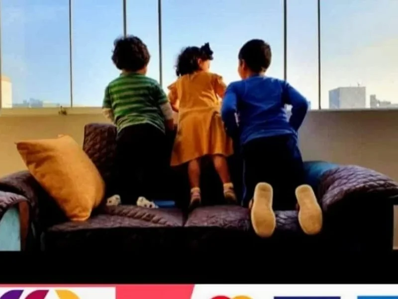 Home Decor Forros para muebles de sala