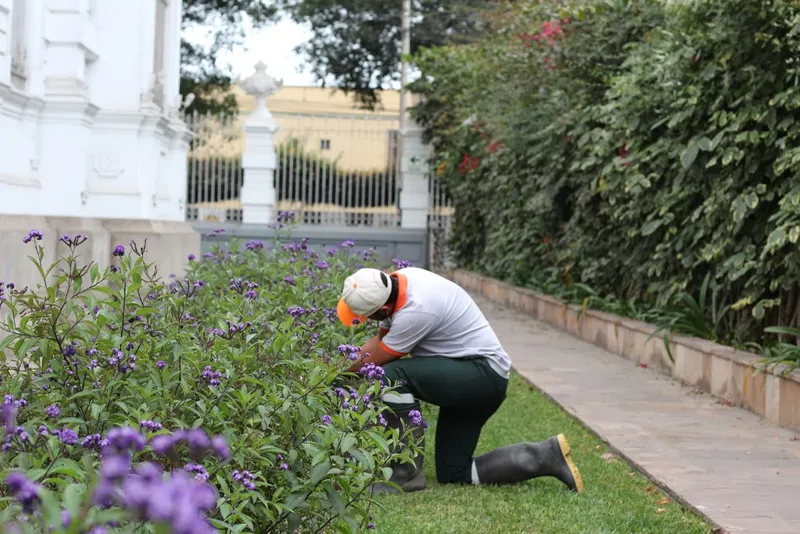 vivero santa luisa sac