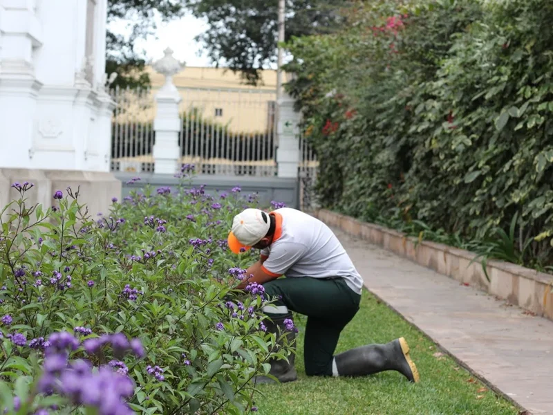 vivero santa luisa sac