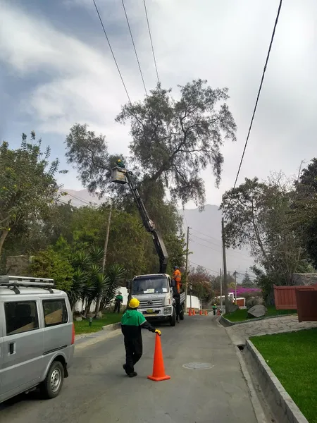 JARDINEROS EN LIMA