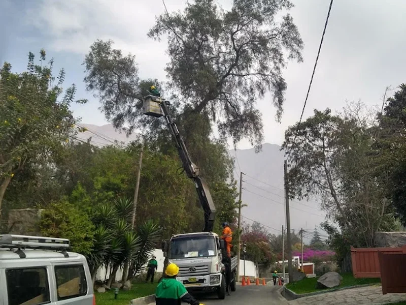 JARDINEROS EN LIMA