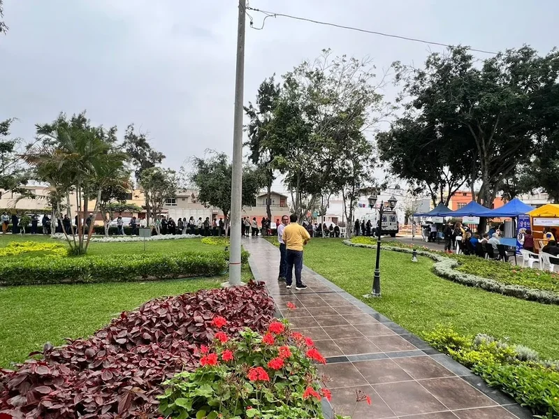 LOCAL DE EVENTOS SAN BORJA PAPA JUAN XXIII