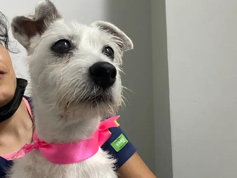 Ecopet Clínica Veterinaria