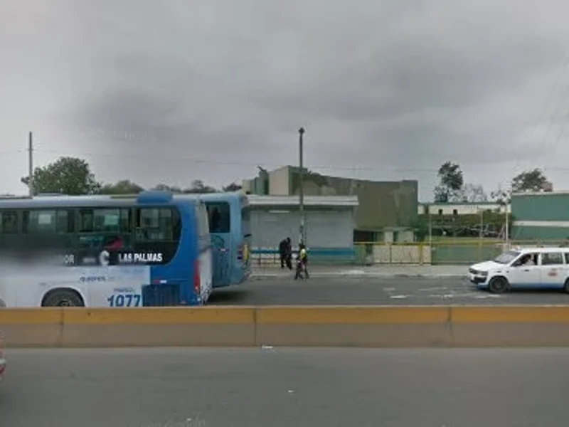 Clínica de animales menores UNMSM