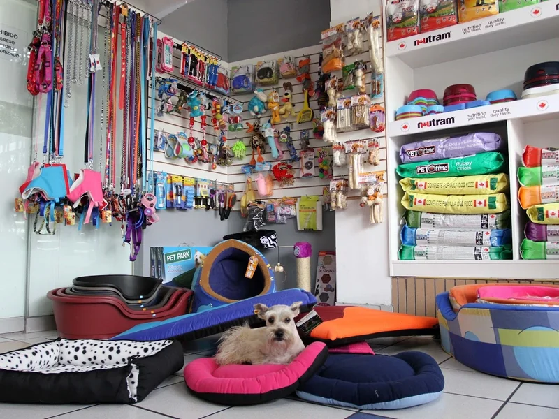 Veterinaria Central Pets