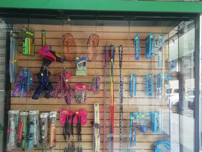 Reino Animal San Borja