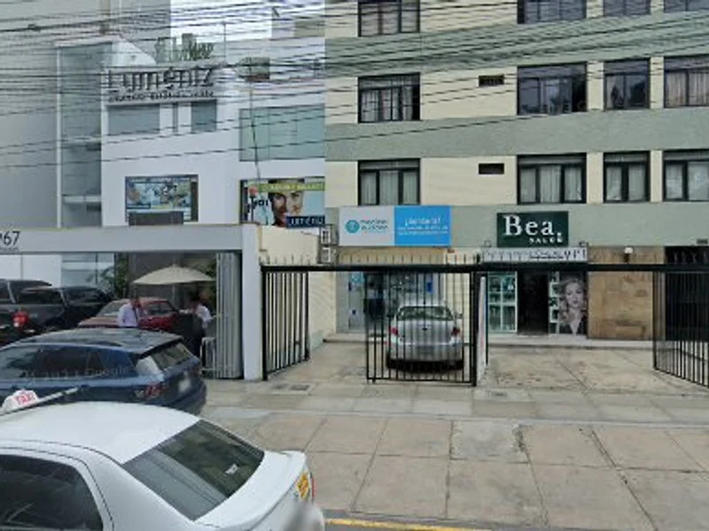 Natural Flowers (Miraflores)