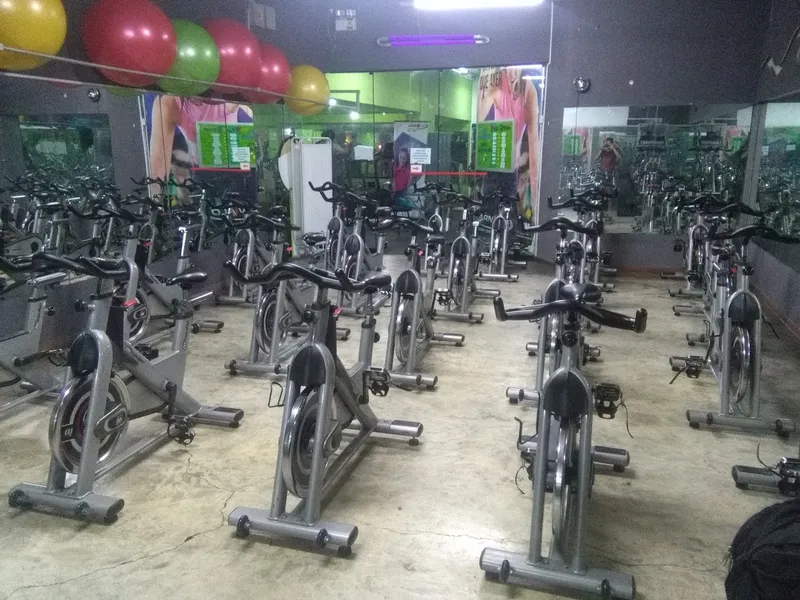 Spa ARNOLD GYM