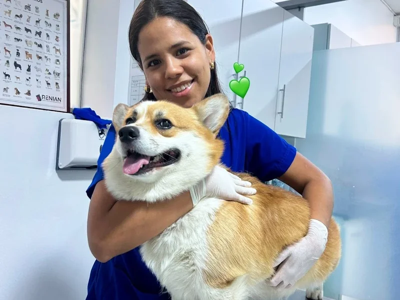 Digital Vet - Veterinaria Sede Jesús María