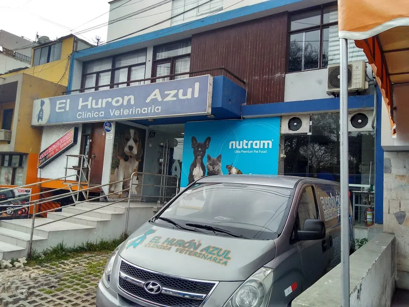 El Hurón Azul Clínica Veterinaria