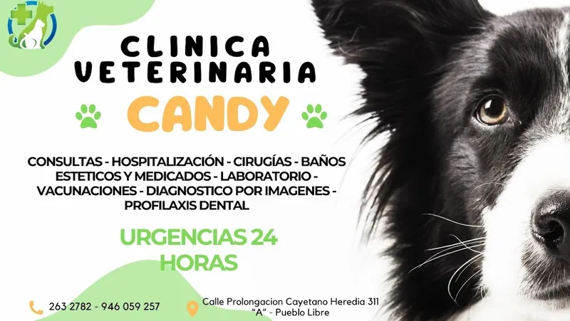 CLINICA VETERINARIA CANDY