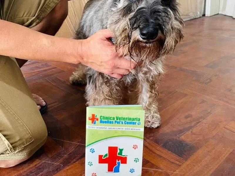 Clínica Veterinaria Huellas Pet's Center