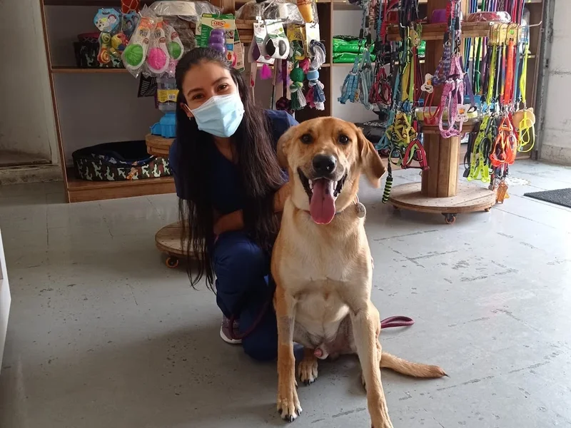 Veterinaria True Friends