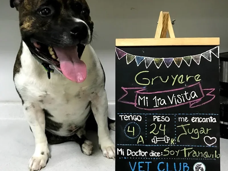 Vet Club - Veterinaria, Grooming & Petshop