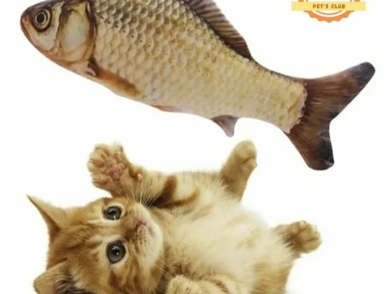 Petsclub.pe