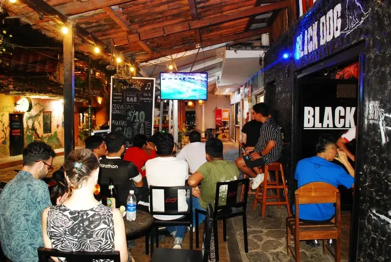 Black Dog