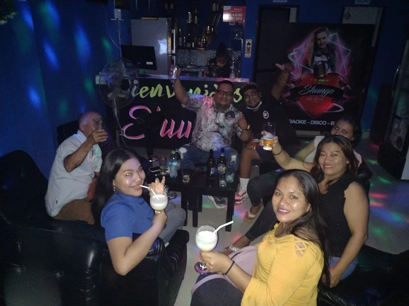 Karaoke disco bar "Shungo in love"