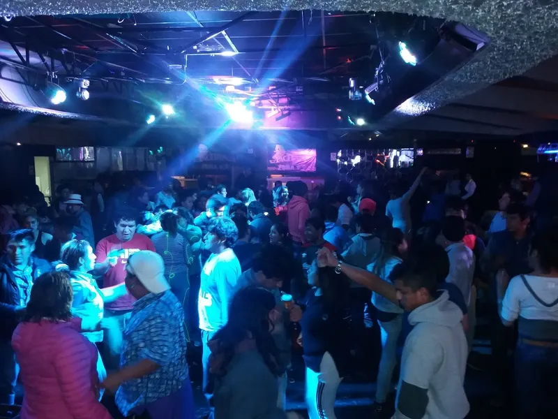 MB PACHANGA DISCOCUMBIA