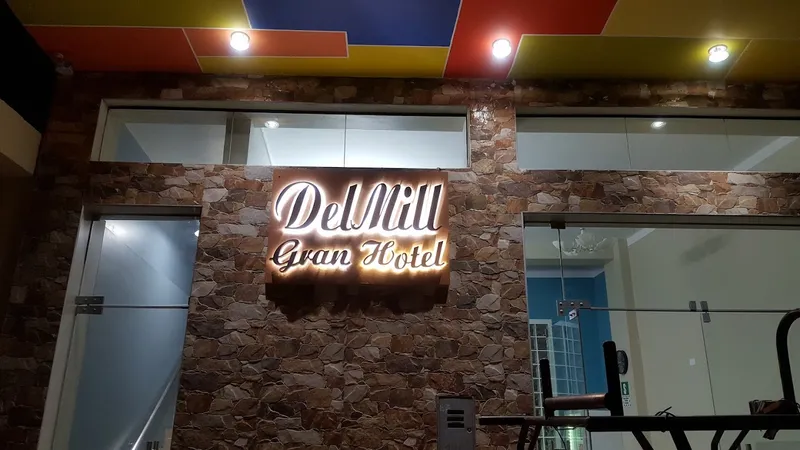 Hotel DELMILL