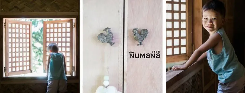 Numana Farm