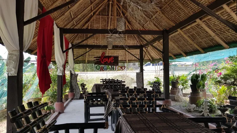 Organic Restaurant