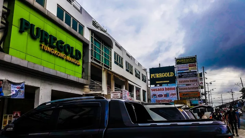 Puregold Tungkong Mangga