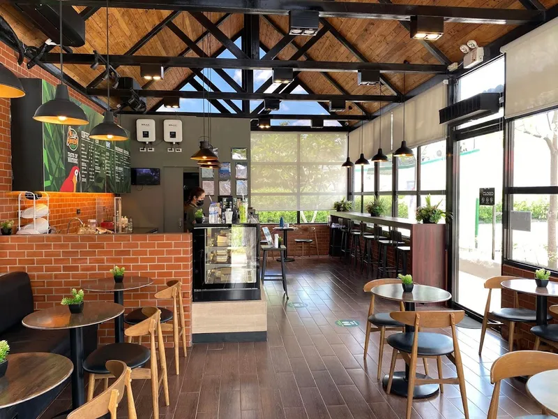 Café Amazon San Fernando Pampanga