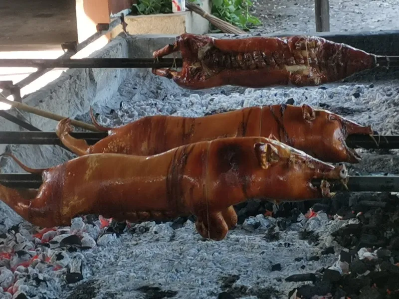 Kafarmer's Cebu Lechon and Farm