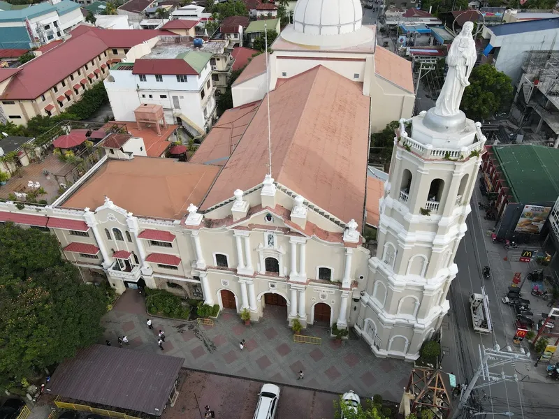 Kalayaan Tree