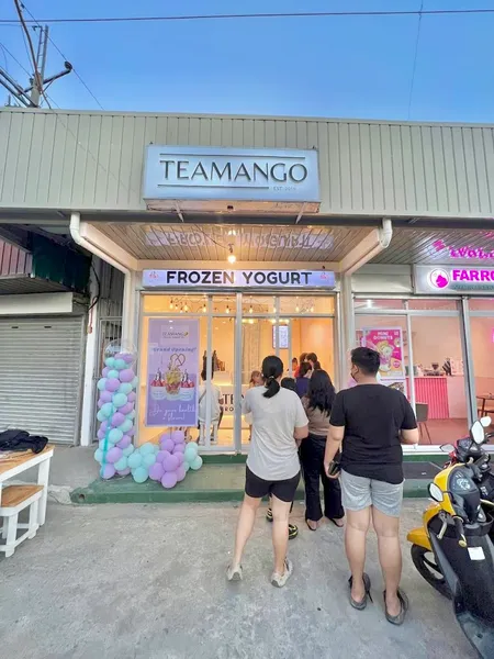 Teamango Plus Frozen Yogurt