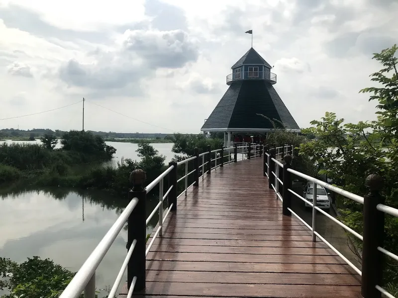 The Pier - The Greenery