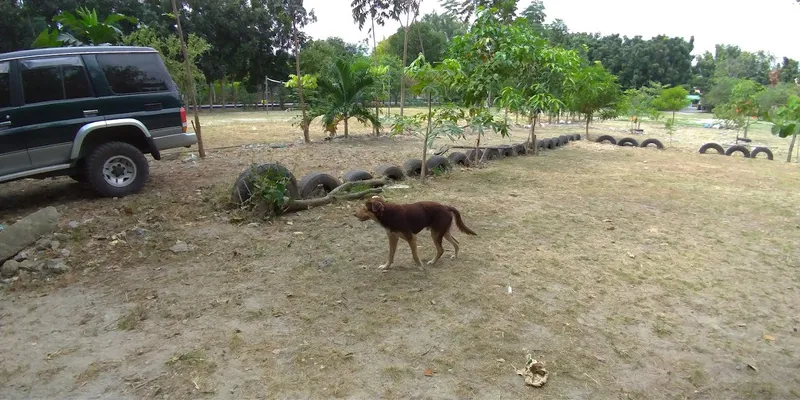 St. Jude Village Park