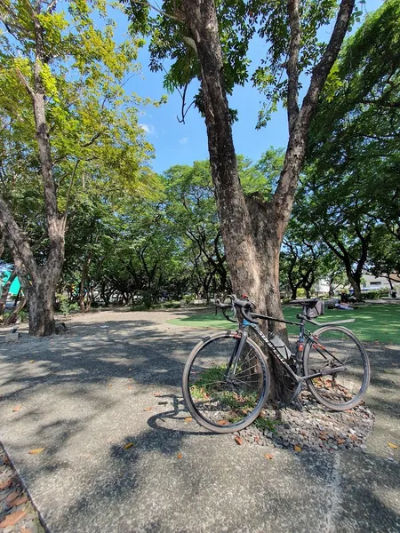 Bulacan Capitol View Mini Forest