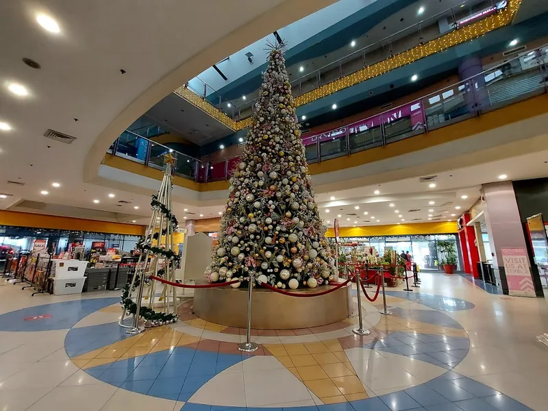 Robinsons Angeles