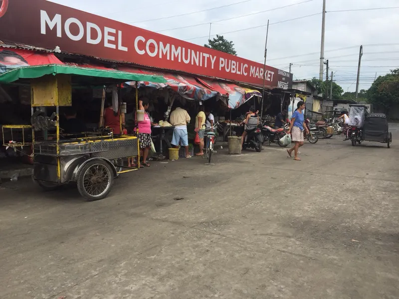 Model Community Market