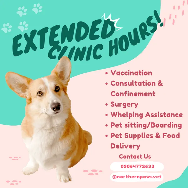 Northern Paws Animal Clinic