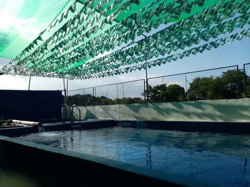 Manalo's Farm Private Swimming Pool