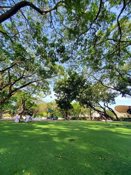 Bulacan Capitol View Mini Forest