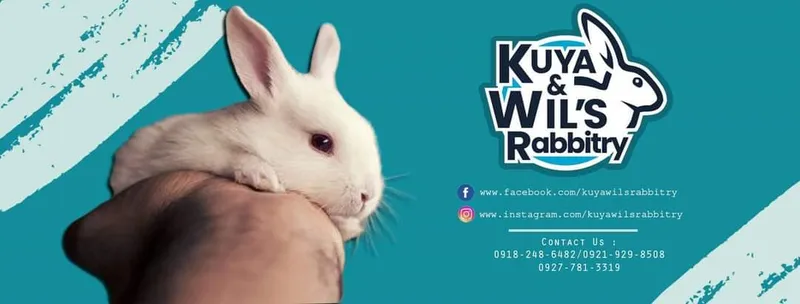 Kuya & Wil's Rabbitry