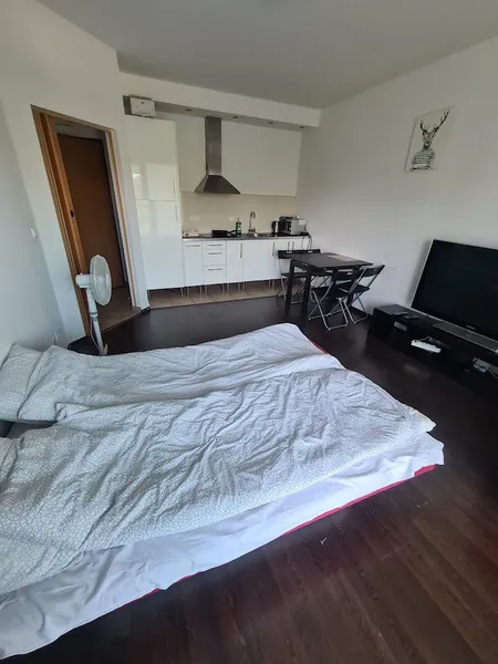 Pirelli Apartament