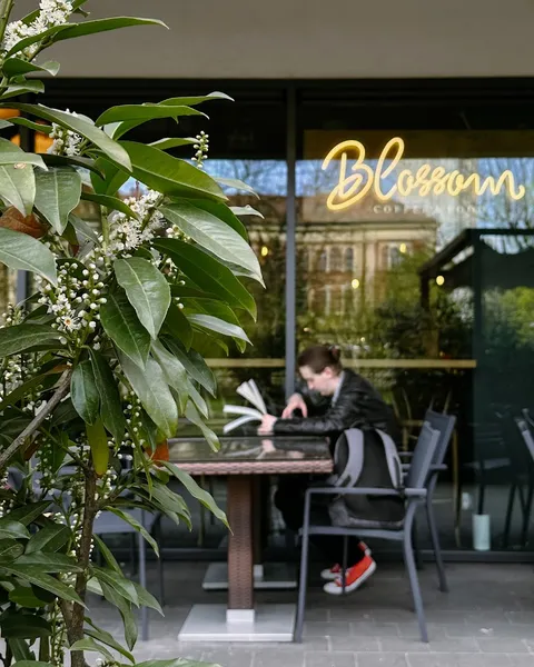 Blossom Coffee & Food