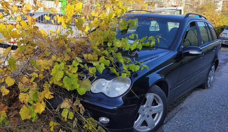 Auto Kaliska