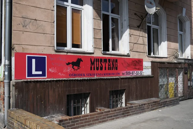 Mustang Jerzy Mielcarek